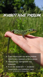 База отдыха «Адамово озеро»