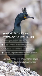 База отдыха «Адамово озеро»