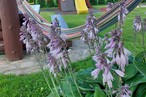 Агроусадьба «Кацярына»